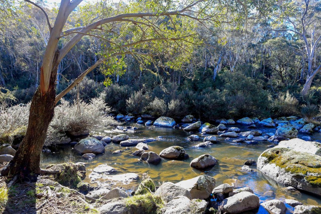 Big Yard Escapes - Two Off-Grid Tiny Houses On The Mowamba River Джиндабайн Экстерьер фото