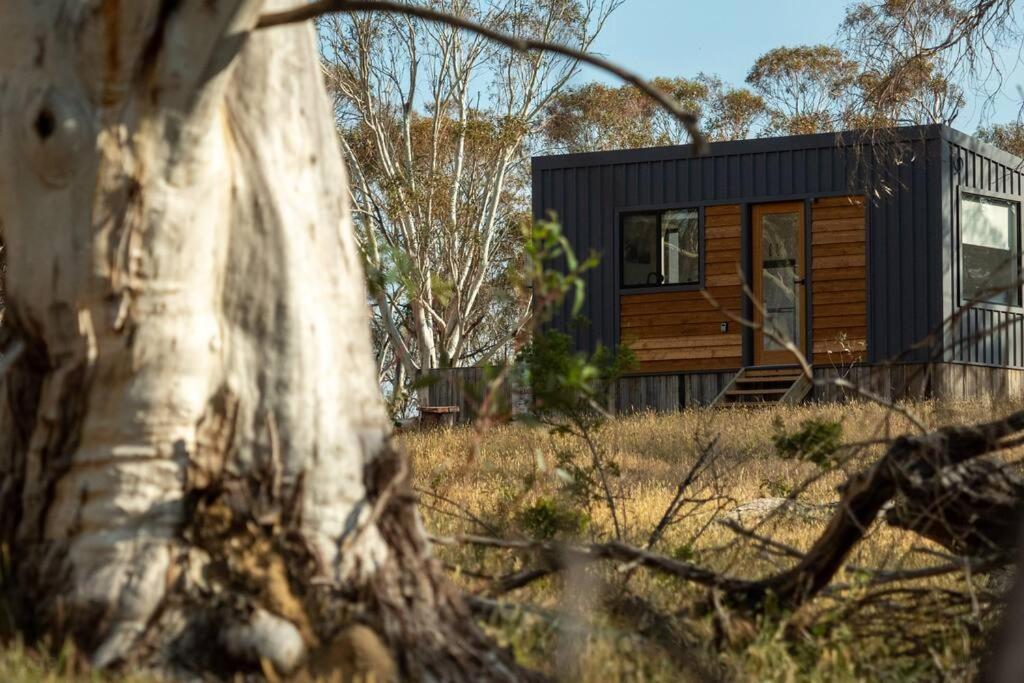 Big Yard Escapes - Two Off-Grid Tiny Houses On The Mowamba River Джиндабайн Экстерьер фото